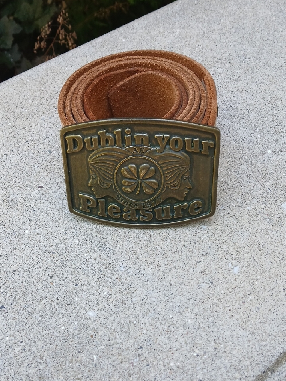 vintage DUBLIN YOUR PLEASURE irish twins IRELAND western BRASS cowboy Buckle